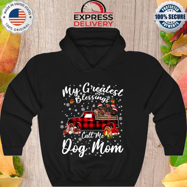 Dachshunds my greatest blessings call me Dog Mom Christmas s Hoodie