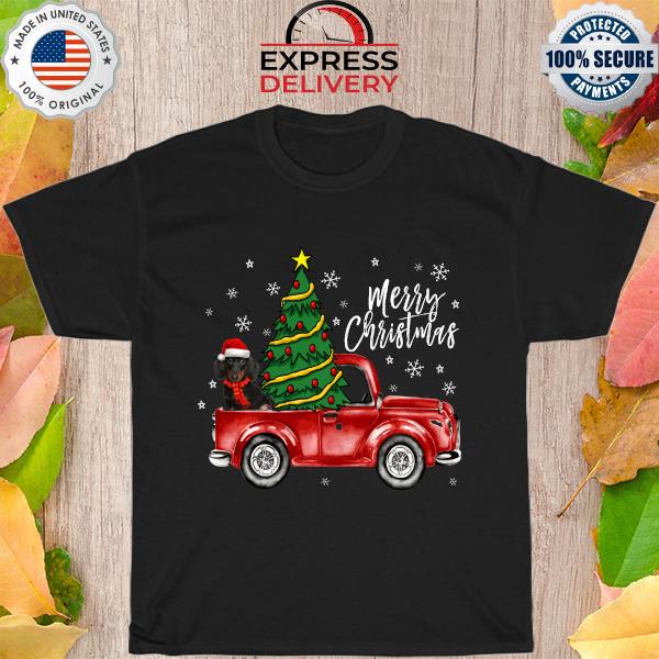 Dachshund Red Truck Merry Christmas sweater