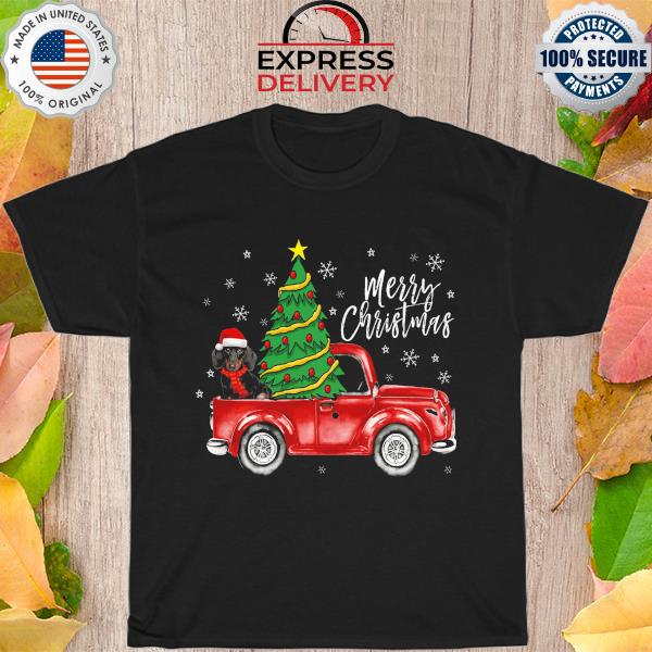 Dachshund Rex truck Tree Xmax merry chirstmas shirt