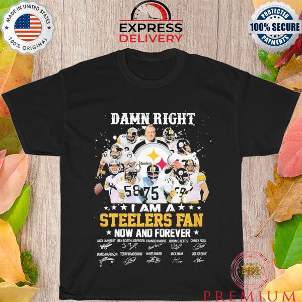 Damn right I am a Pittsburgh steelers now and forever signatures 2023 shirt