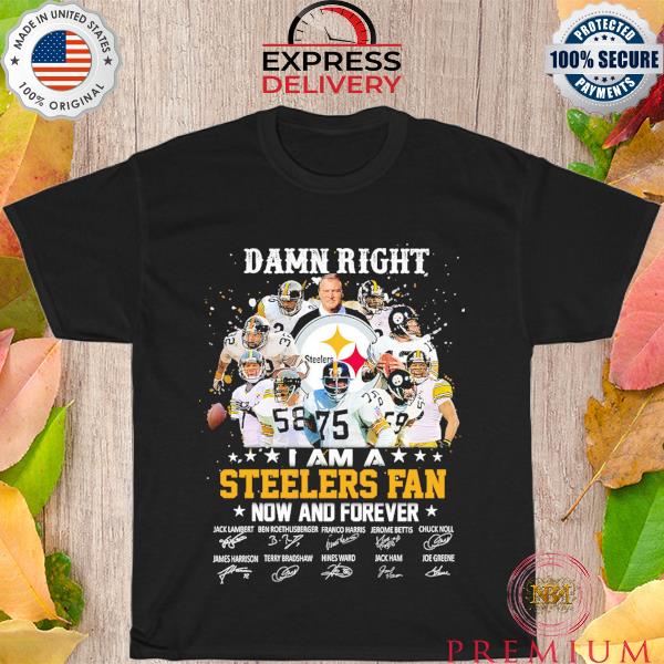Funny Damn right I am a Pittsburgh steelers now and forever signatures 2023 shirt